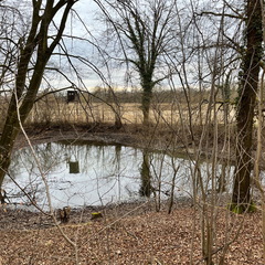 23-02-18 16-49-50 4280